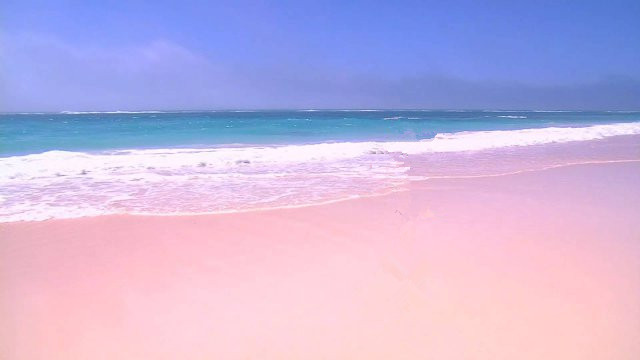 粉色沙滩6.jpg