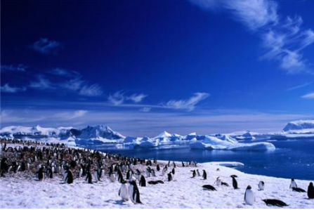 南极-春节团-海恩典号-南极半岛15天（1.30）810.png