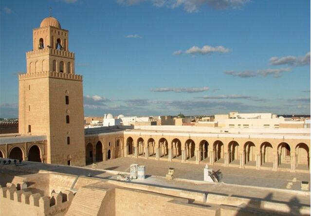 橄榄之都突尼斯、红砖古城摩洛哥12日