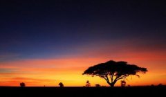 坦桑尼亚摄影发现之旅10日