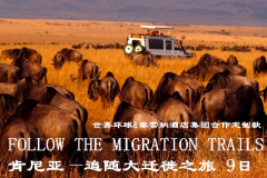 肯尼亚追随动物大迁徙之旅9日